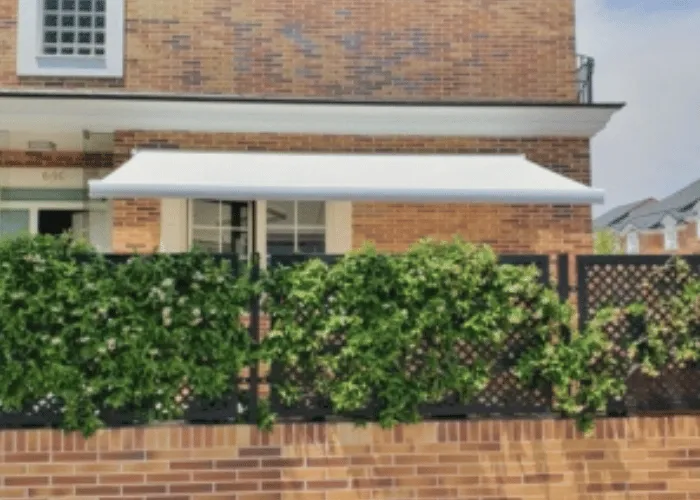 Cofre extensible (26)