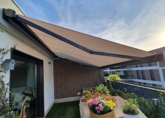 Cofre extensible (36)